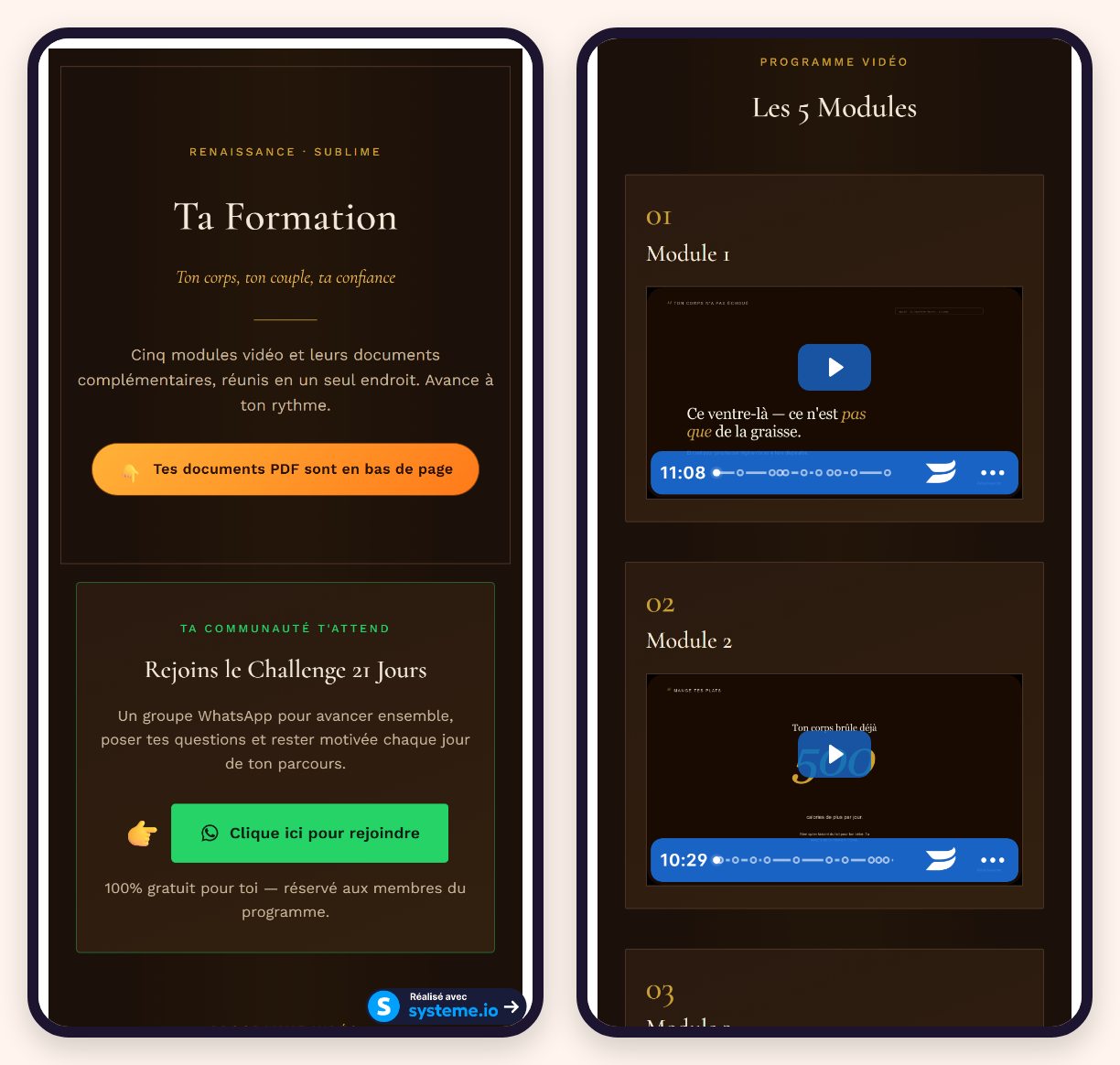 L'intérieur de la formation Renaissance : les 5 modules vidéo